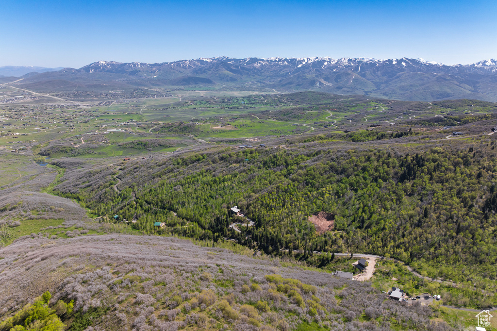 10256 N BASIN CANYON RD Park City, UT 84098