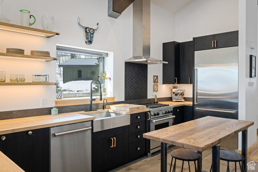 Kitchen with dark cabinets, island range hood, high quality appliances, a sink, and wooden counters
