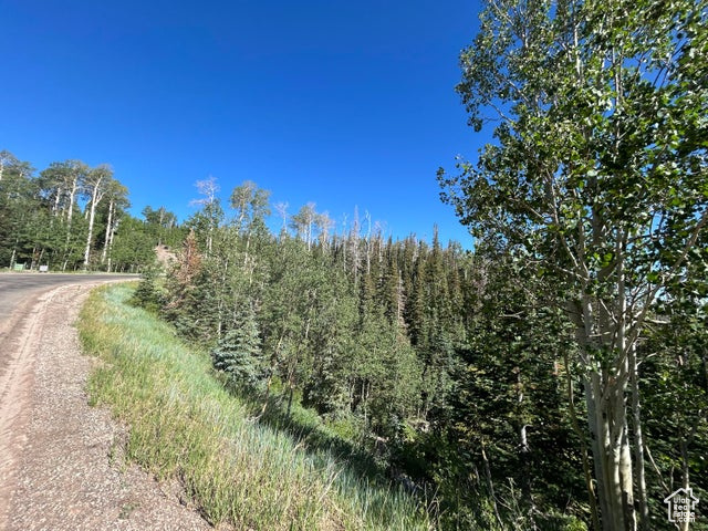 View of road with a forest view