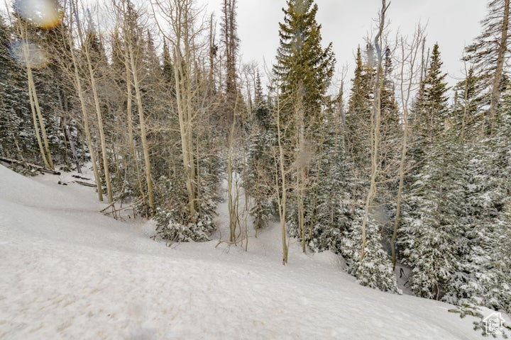 View of snow covered land