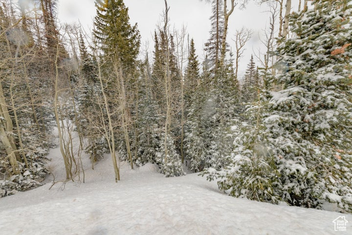 View of snow covered land
