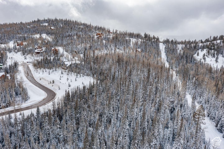 Snowy aerial view featuring a mountain view and a view of trees