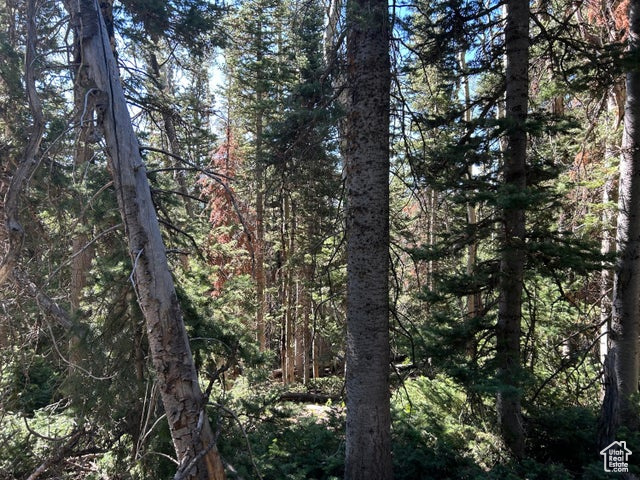 View of wooded area