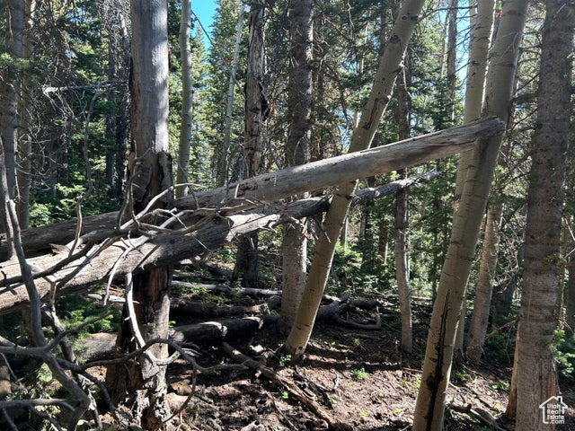 View of undeveloped land