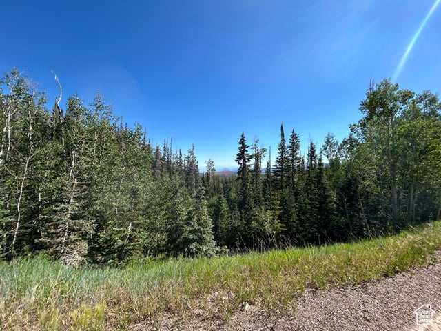 View of wooded area