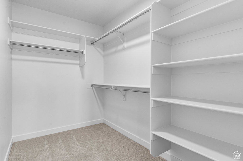 Spacious closet featuring carpet floors