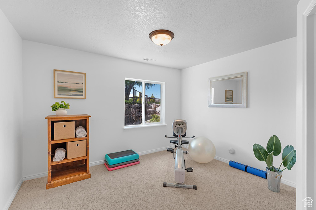 Workout area featuring carpet, baseboards, and a textured ceiling