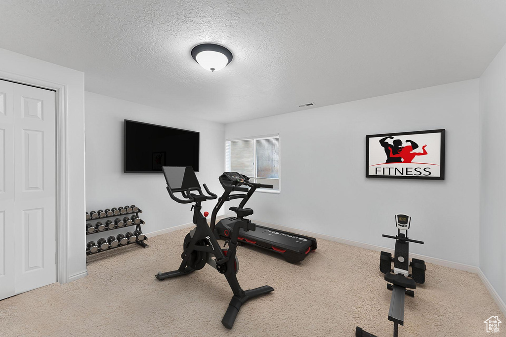 Workout area featuring baseboards, a textured ceiling, and carpet flooring