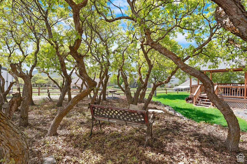 View of yard featuring a deck