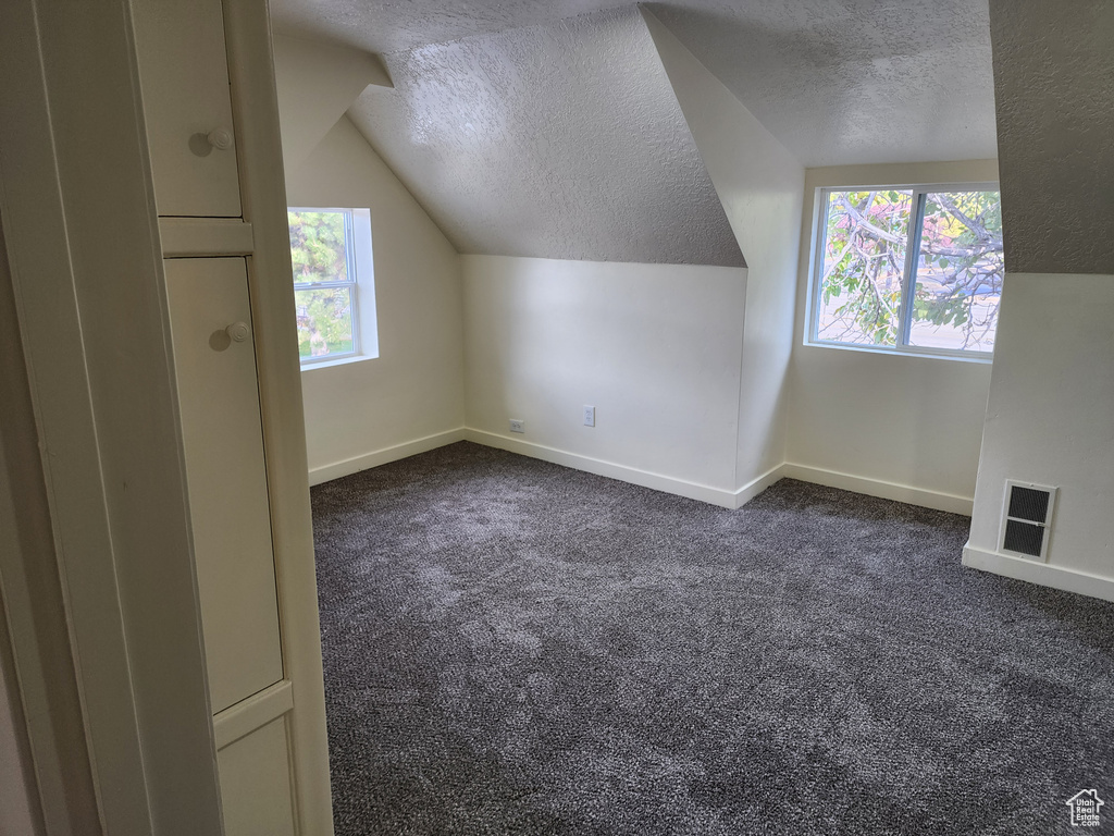 Additional living space featuring a textured ceiling, dark carpet, vaulted ceiling, and baseboards