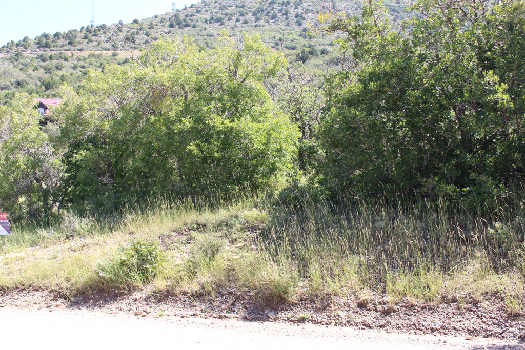 View of mountain background