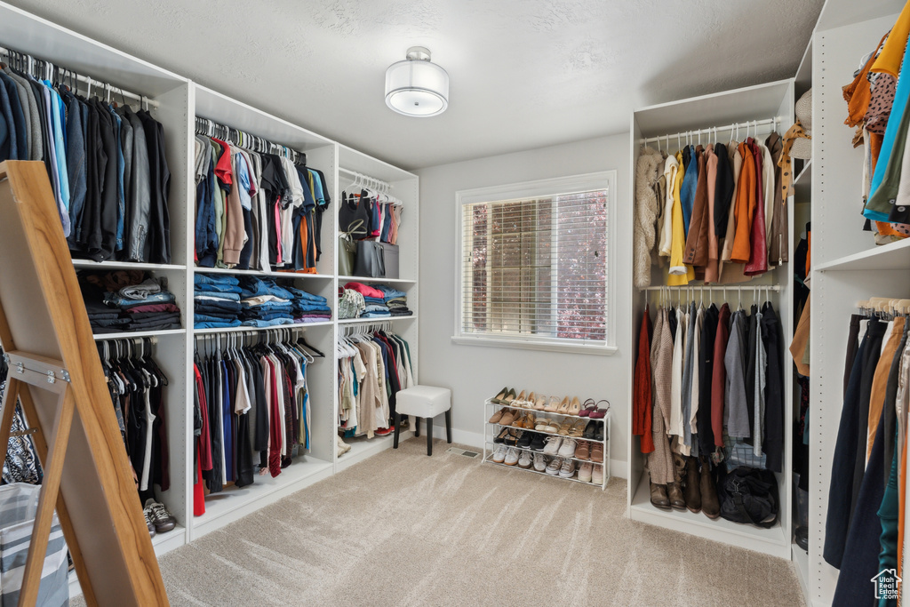 Spacious closet featuring carpet floors