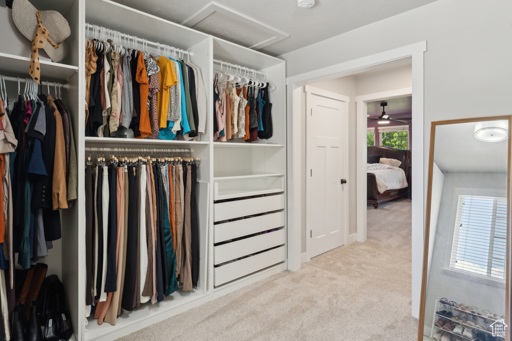 Walk in closet featuring carpet flooring, attic access, and a ceiling fan