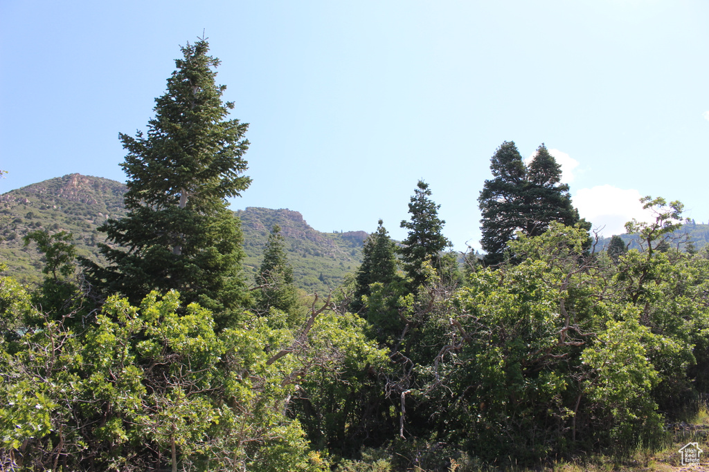 View of mountain backdrop featuring a forest