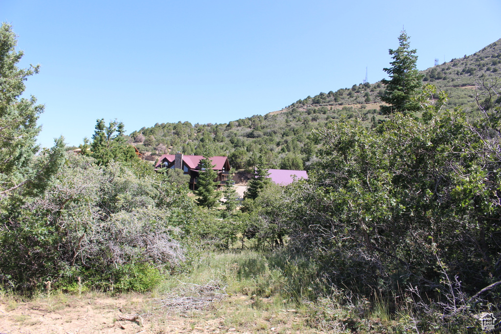 Mountain view with a heavily wooded area