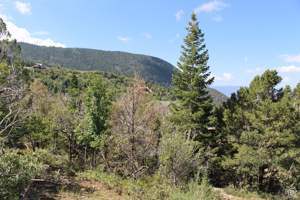 View of mountain background with a heavily wooded area