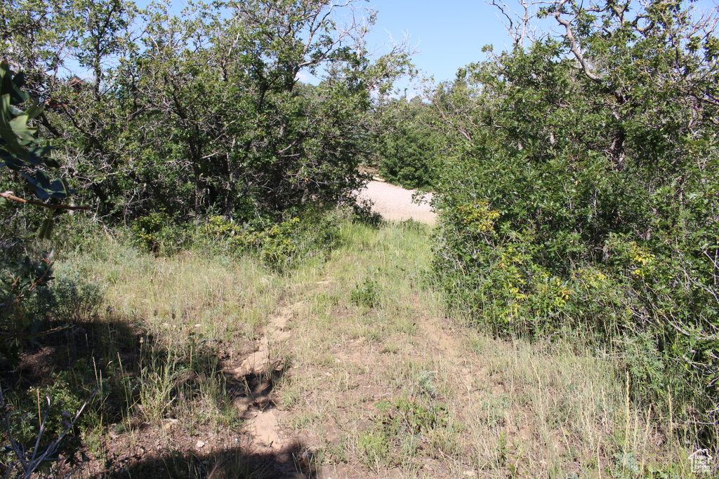View of undeveloped land