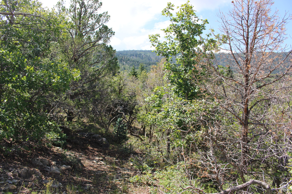 View of mountain backdrop featuring a forest