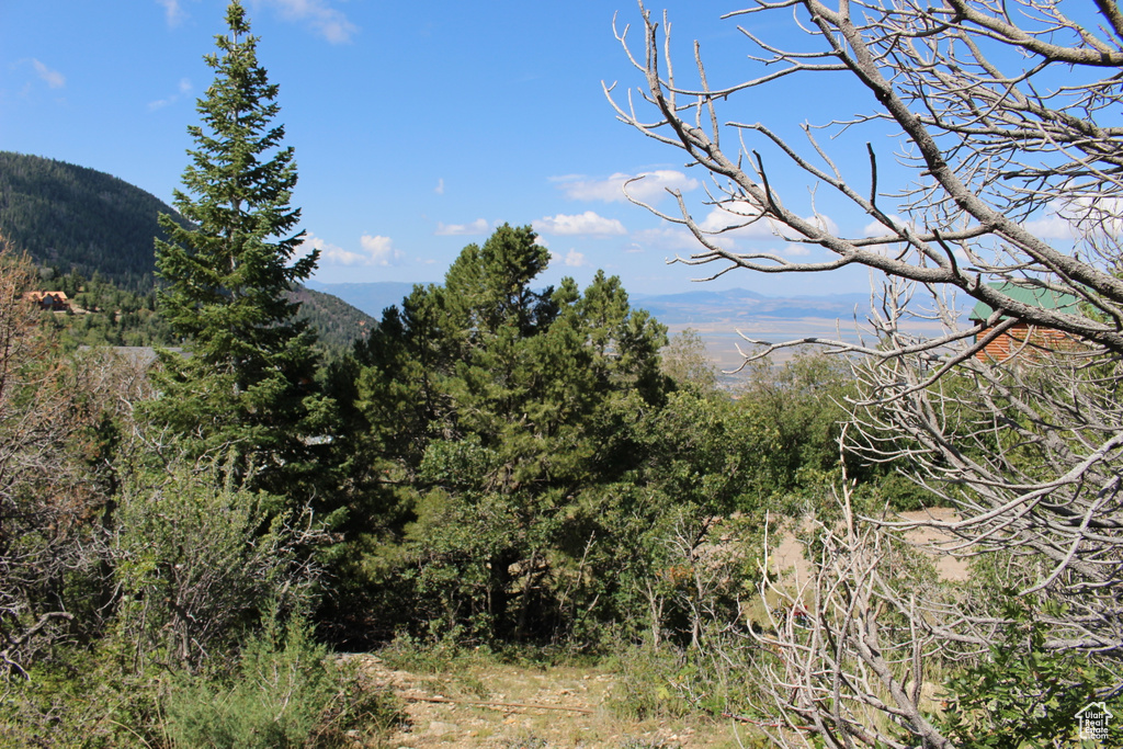 View of mountain backdrop with a forest