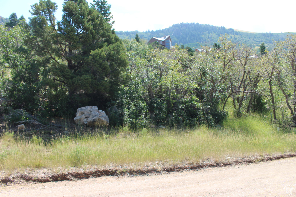 View of mountain background