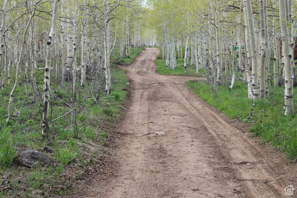 View of dirt / gravel road