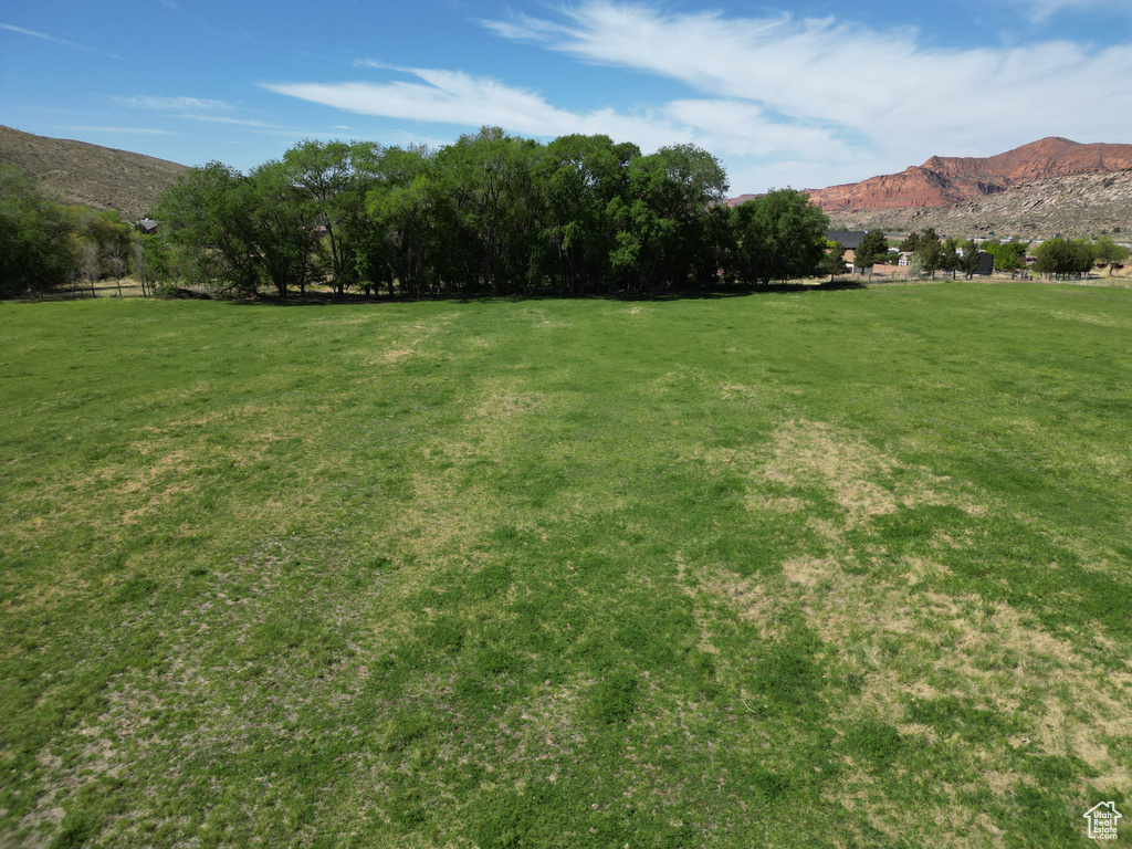 View of grassy yard featuring a mountain view and a rural view