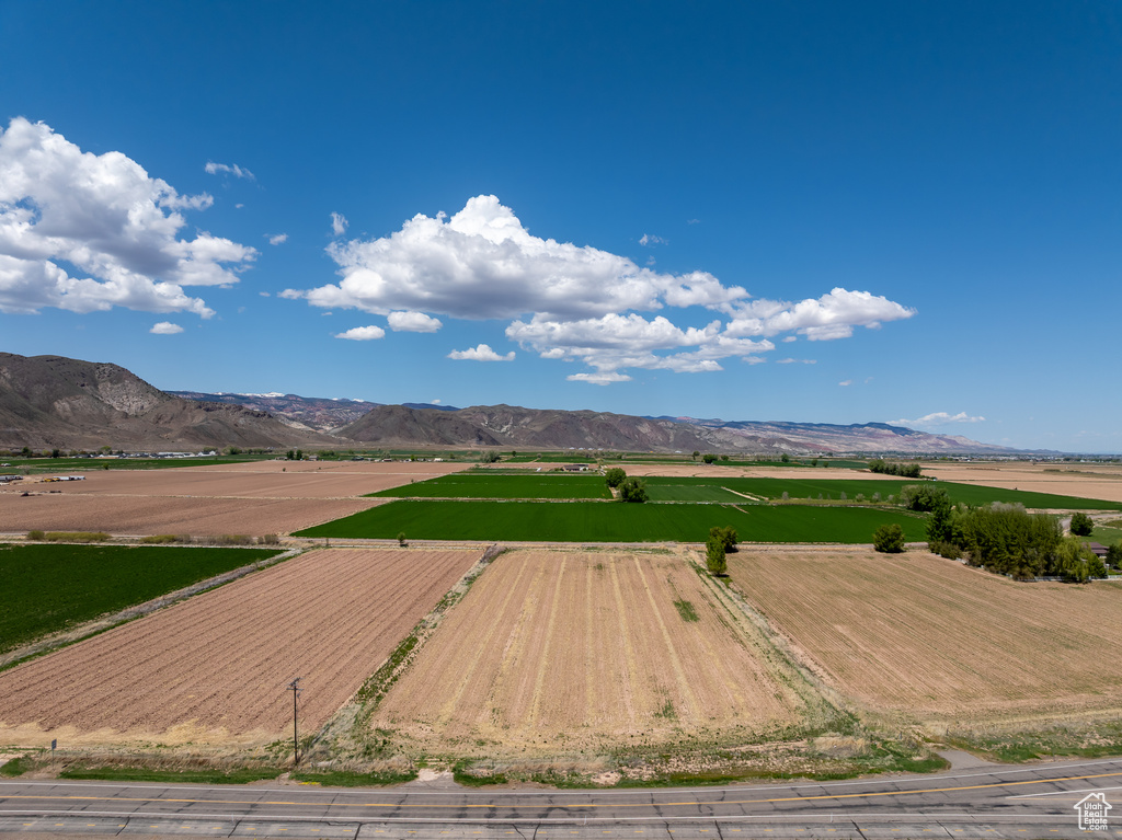 View of mountain background with rows of crops and rural landscape