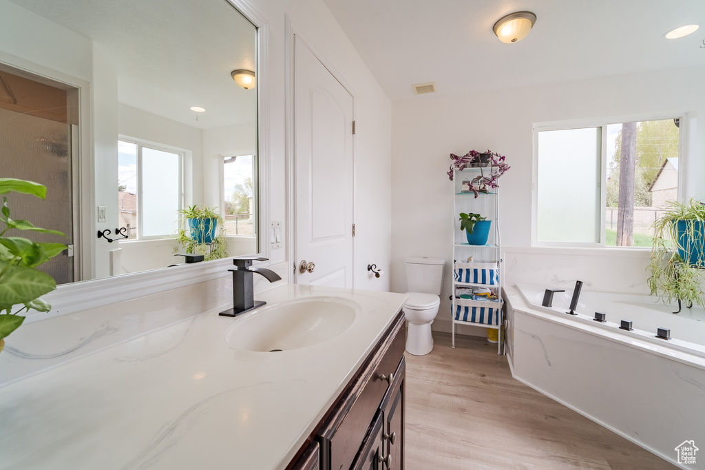 Bathroom featuring toilet, vanity, wood finished floors, and a bath