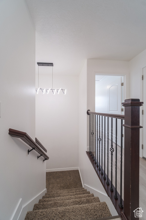 Staircase with baseboards and carpet floors
