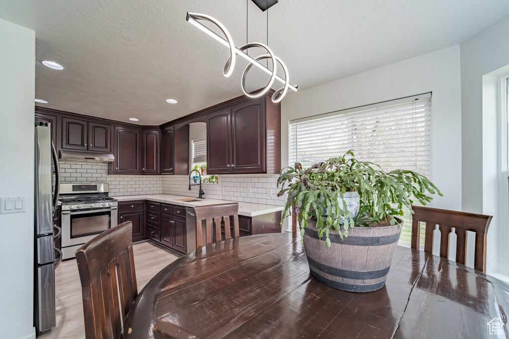 Kitchen with appliances with stainless steel finishes, under cabinet range hood, a sink, backsplash, and dark brown cabinetry