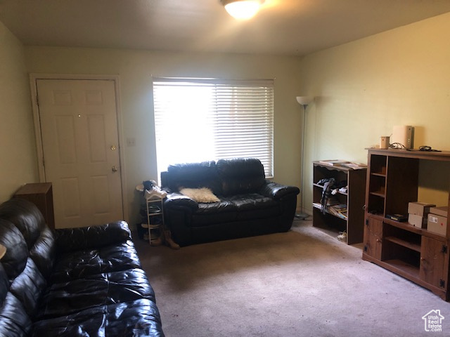 View of carpeted living room