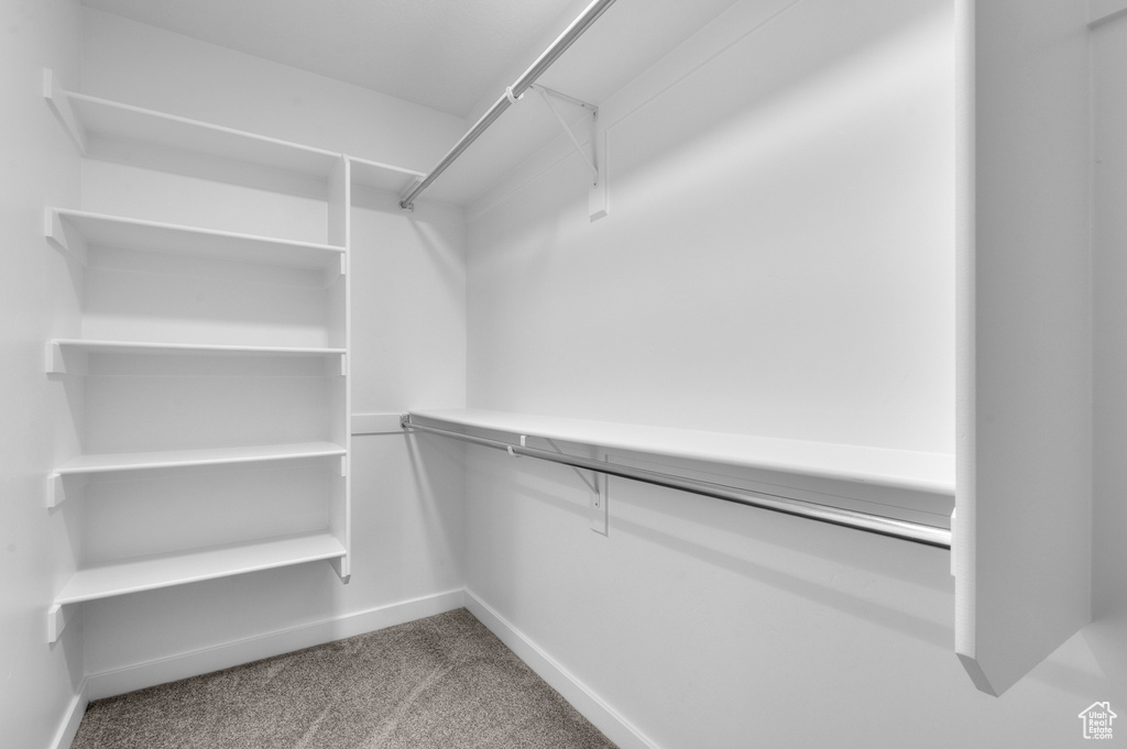 Walk in closet with carpet flooring