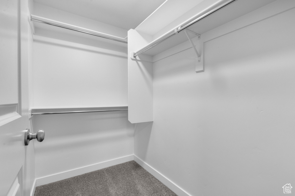 Spacious closet with dark carpet