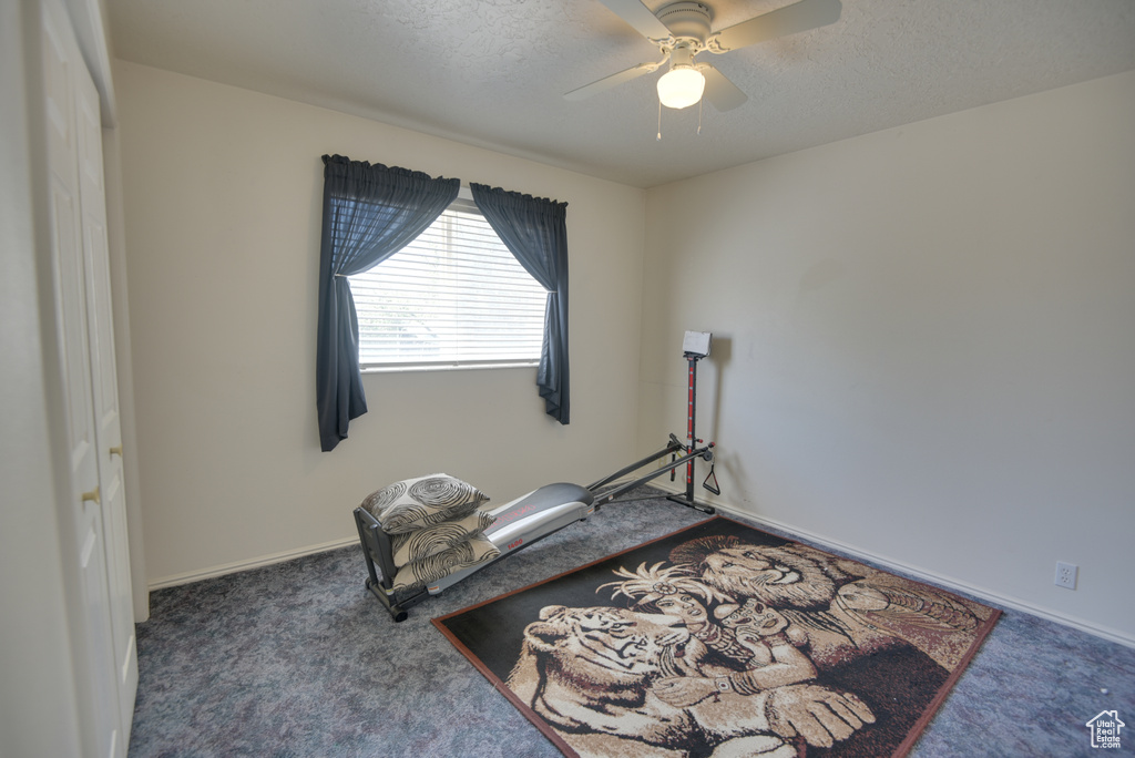 Exercise area with carpet floors, ceiling fan, a textured ceiling, and baseboards