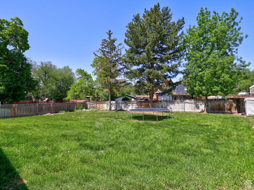 View of yard with a trampoline