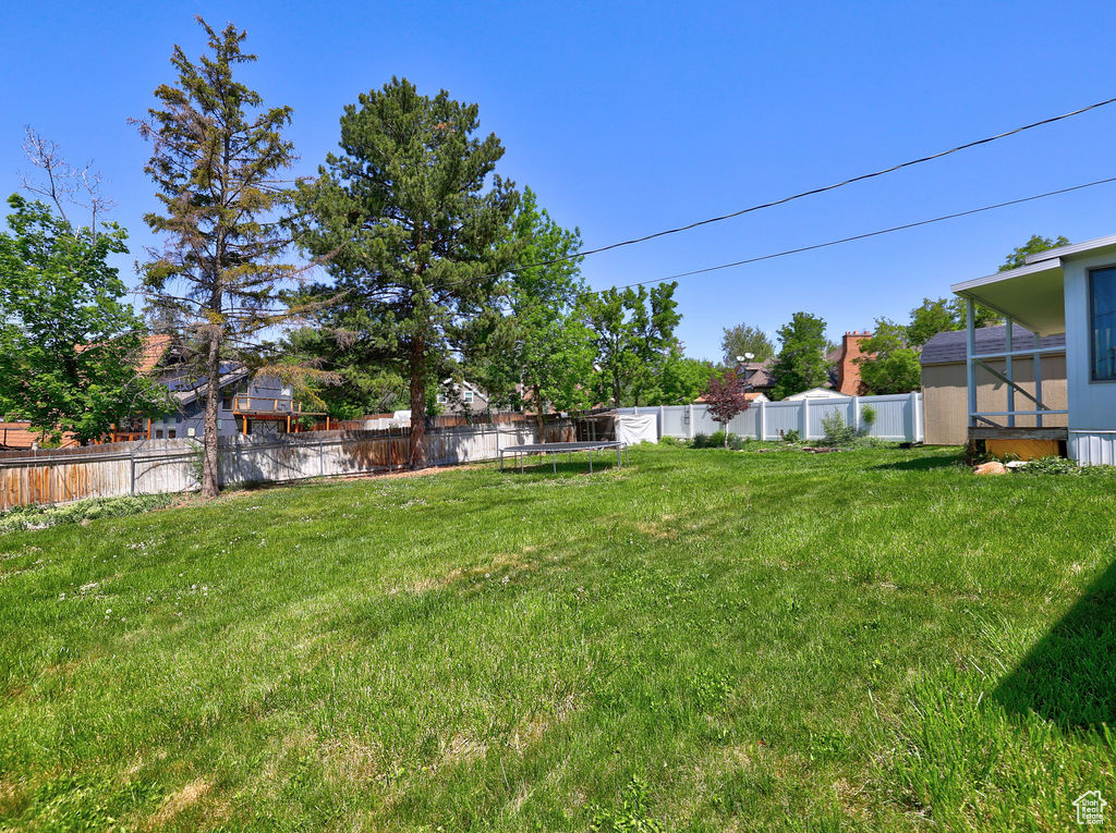 View of yard featuring a trampoline