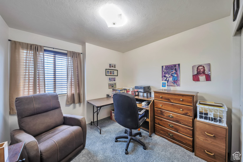 Office area with carpet, a textured ceiling, and baseboards