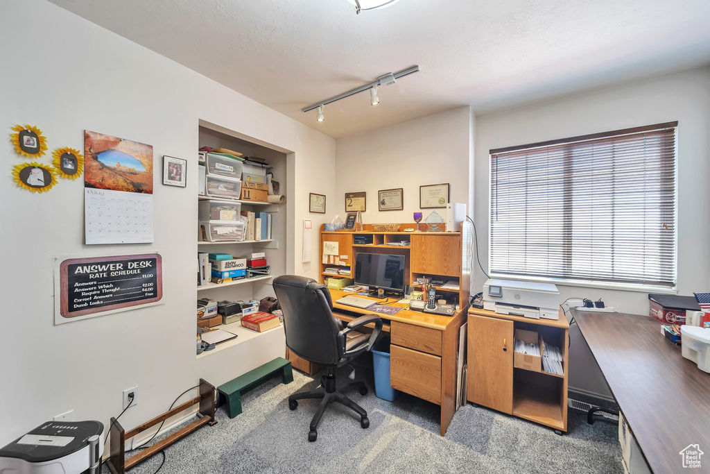 Office space featuring carpet floors and rail lighting