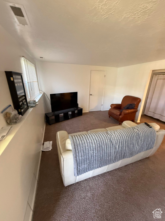 Living area with carpet floors