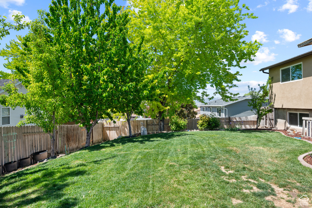 View of yard