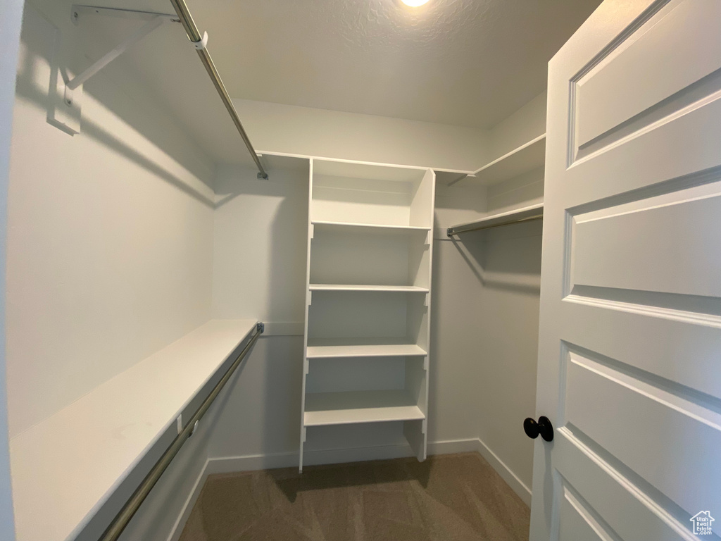Spacious closet featuring dark carpet