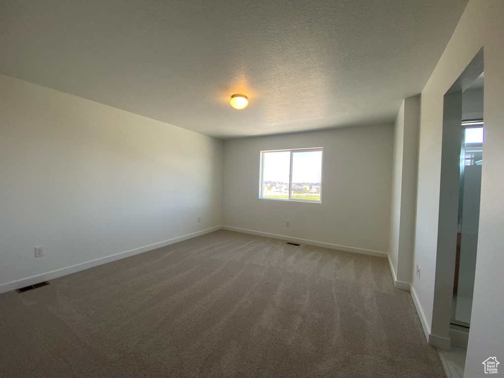 Unfurnished room featuring light colored carpet, baseboards, and a textured ceiling