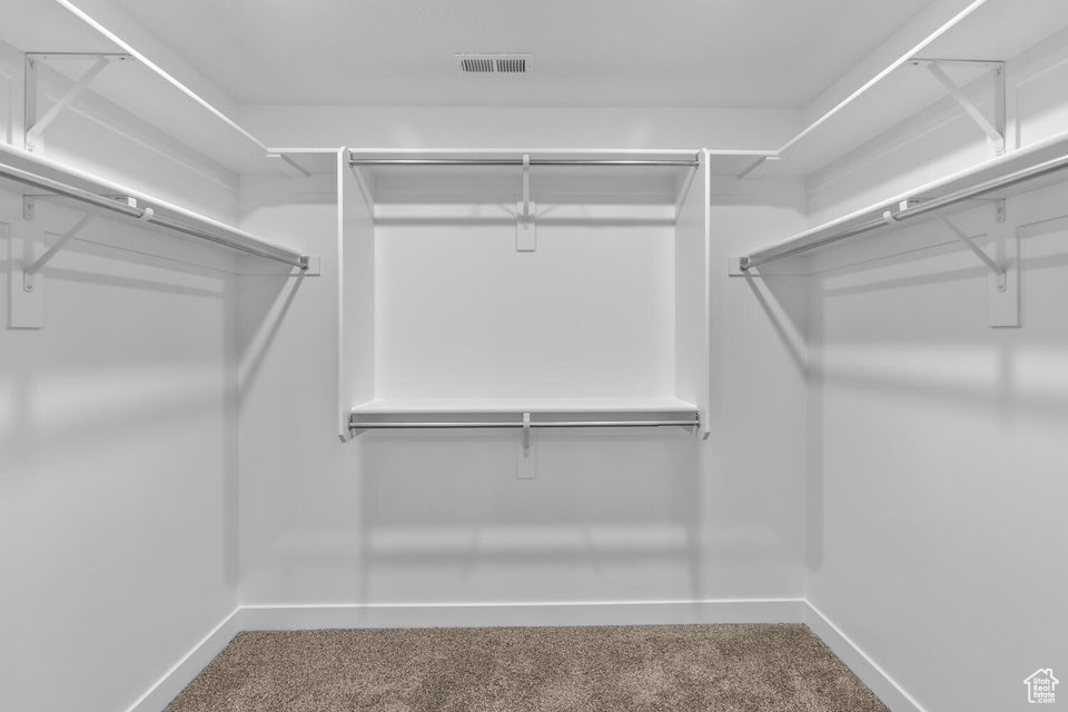 Spacious closet featuring carpet floors