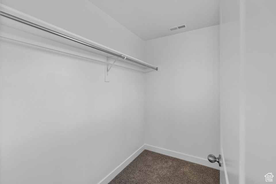 Spacious closet with dark colored carpet
