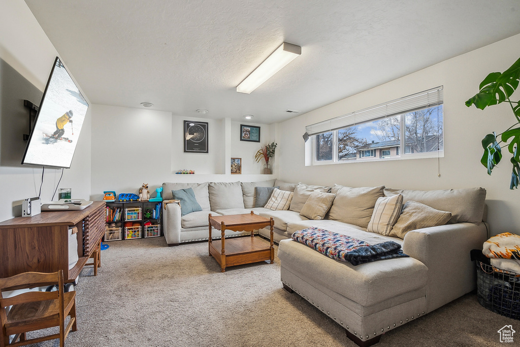 Living area with light colored carpet and a textured ceiling