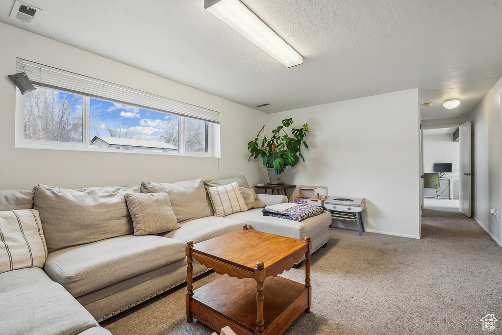 Carpeted living area featuring baseboards