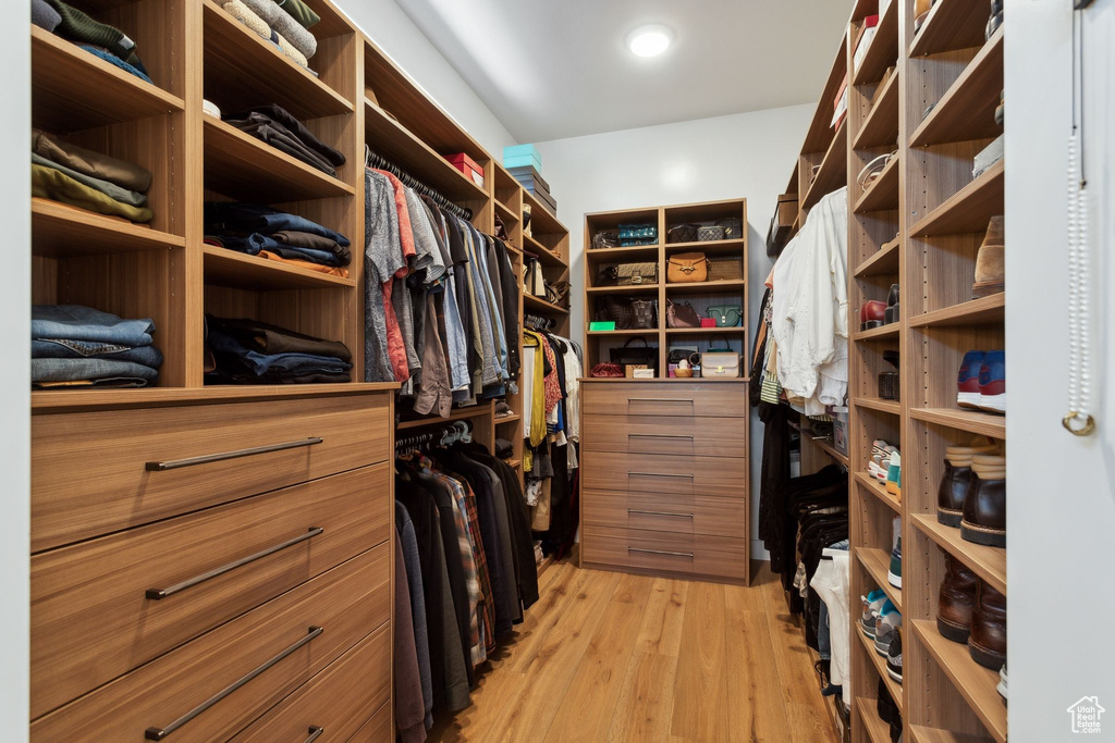 Spacious closet featuring light wood finished floors