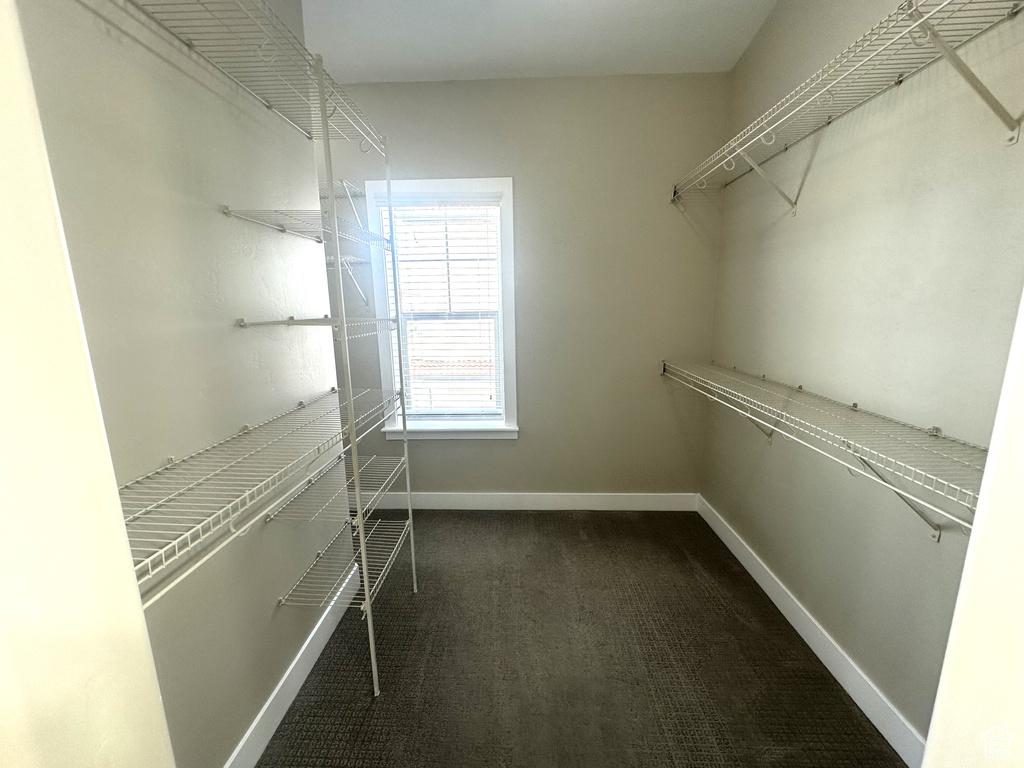 Spacious closet featuring dark colored carpet