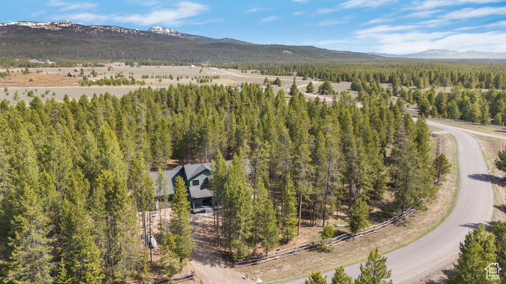 Aerial view of a forest and mountains
