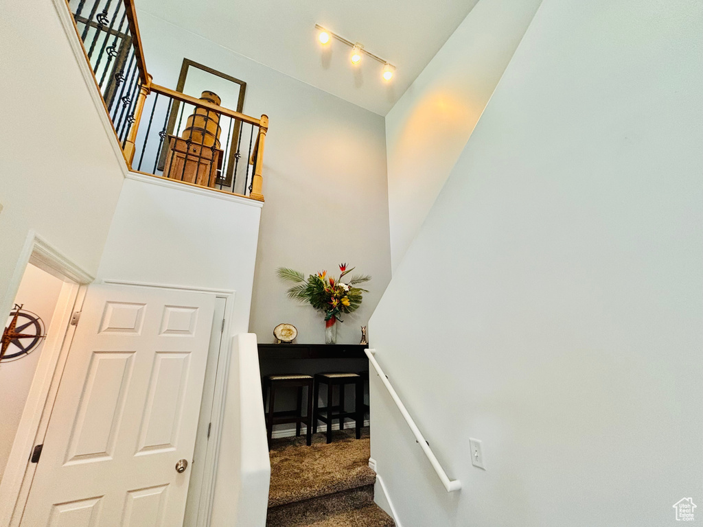 Staircase with carpet flooring, a towering ceiling, and track lighting